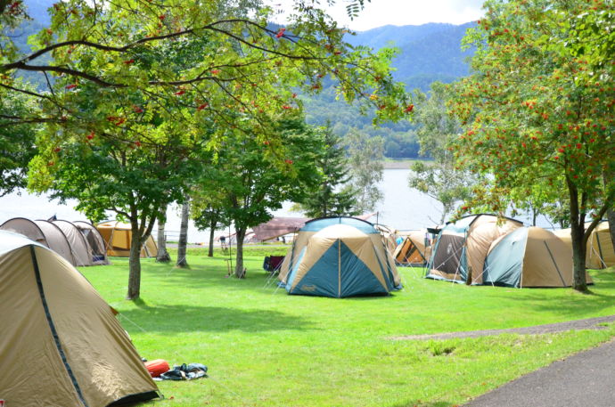 キャンプ場にテントが並んでいる