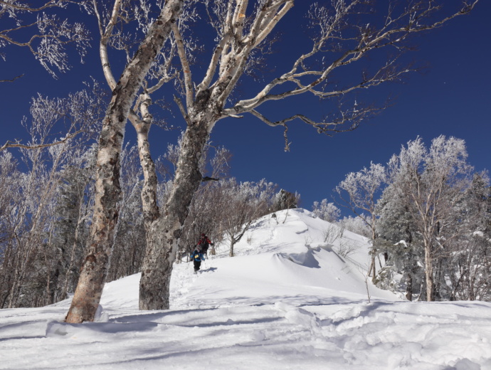 雪が積もった経ヶ岳