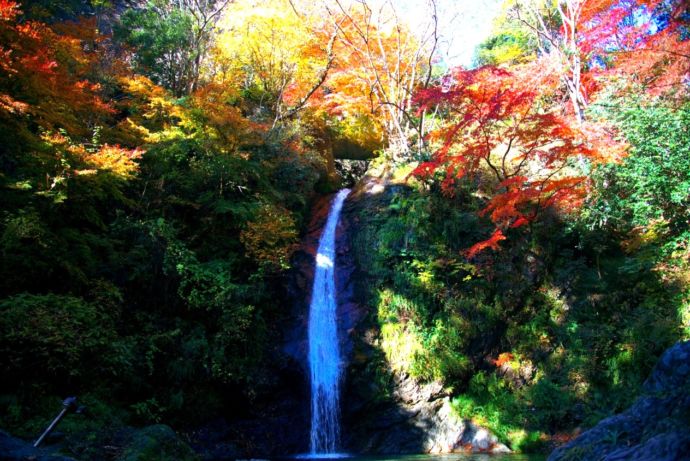 秋の紅葉シーズンの秩父華厳の滝