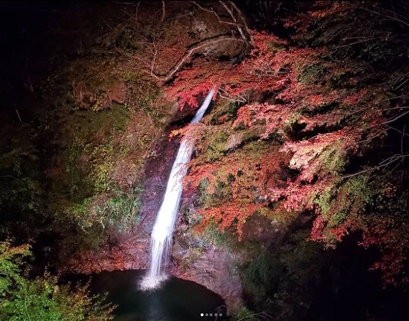 紅葉のシーズンにライトアップされた秩父華厳の滝