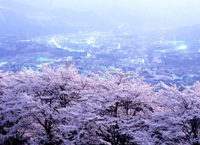 桜が満開の美の山公園から秩父盆地を一望した風景