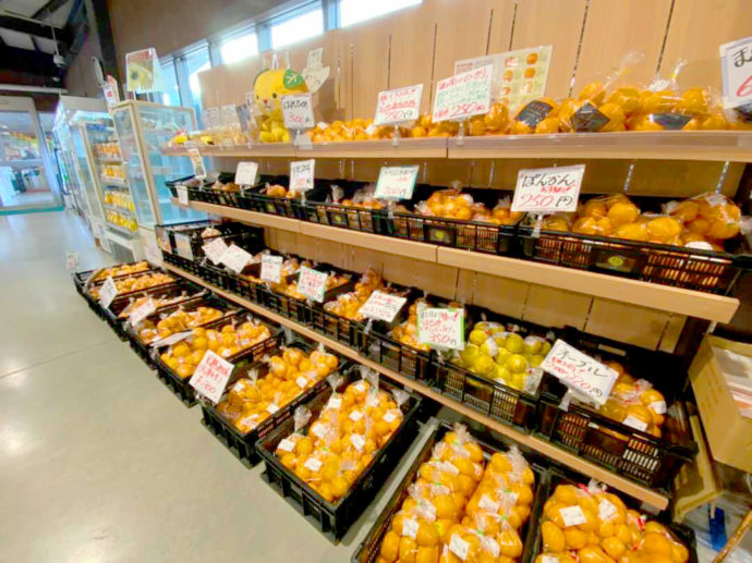 何種類もの柑橘類（みかん）が並ぶ産直売り場