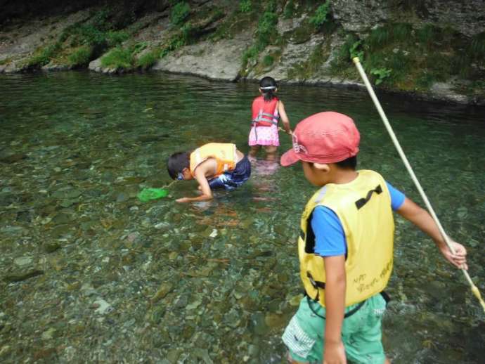 川田川で水生昆虫を夢中で探す子どもたち