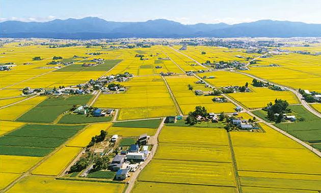 美郷町の田園風景を映した空撮写真