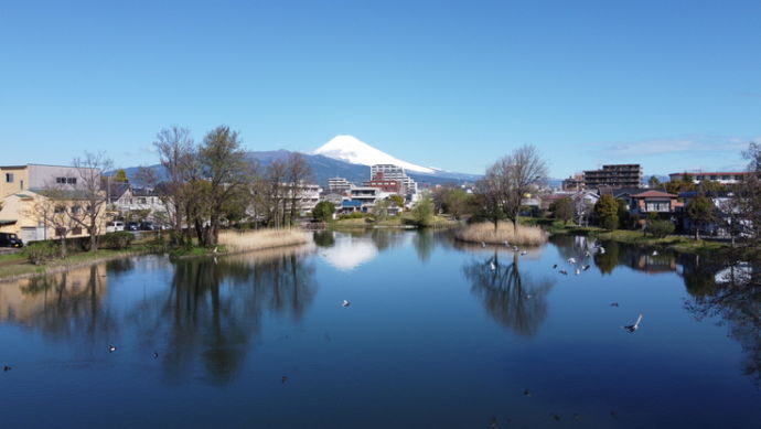 中郷温水地から望む富士山