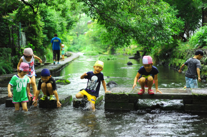 三島市内の源兵衛川で遊ぶ子ども