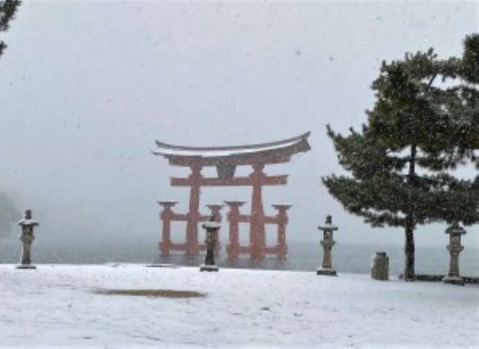 雪景色の「厳島神社」の大鳥居