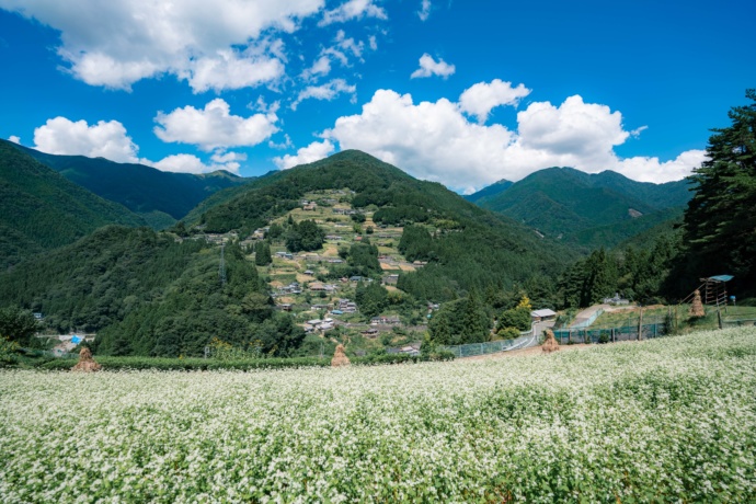 徳島県三好市にある落合集落の風景写真