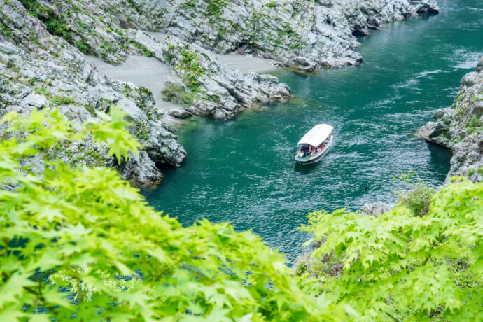 徳島県三好市の絶景の中を進む大歩危峡観光遊覧船