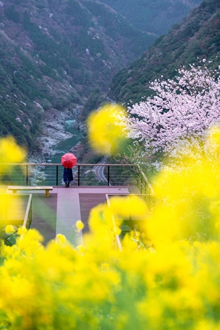 徳島県三好市にある小歩危展望台