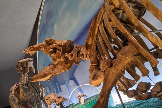 岐阜県瑞浪市にある「化石博物館」恐竜の展示
