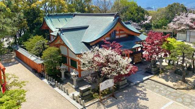 福岡県福岡市にある紅葉八幡宮の社殿を上空から見た様子