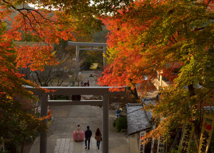 「桃太郎神社」の参道と紅葉