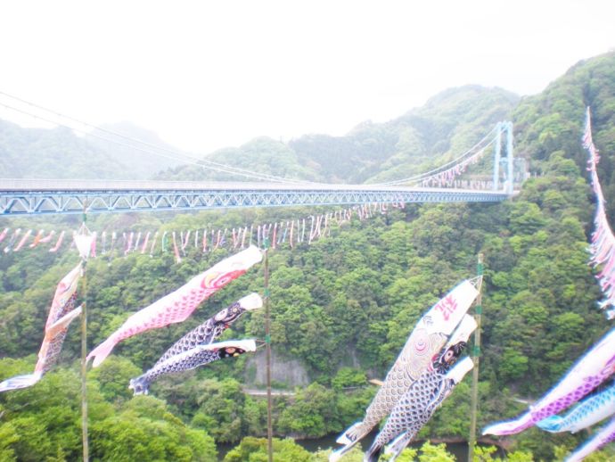 「山田屋旅館」から車で30分圏内の「竜神大吊橋」と鯉のぼり