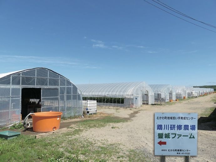 むかわ町の新規就農のための研修農場「豊城ファーム」
