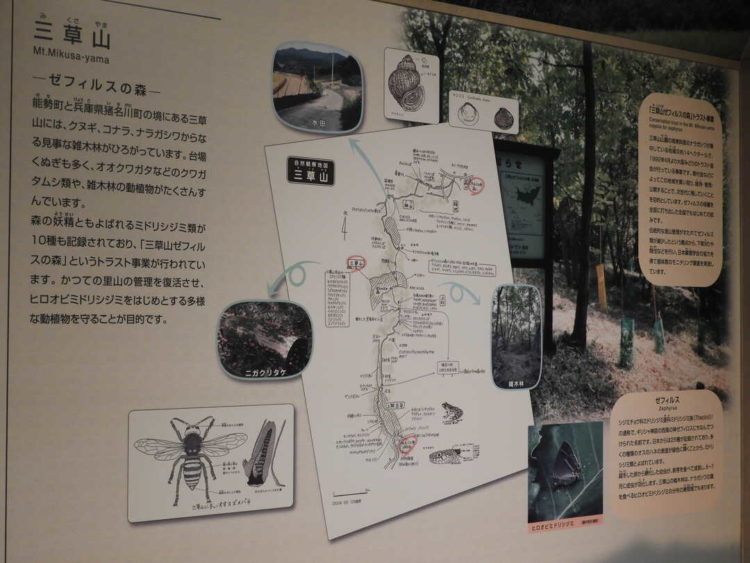 大阪市立自然史博物館の自然観察地図