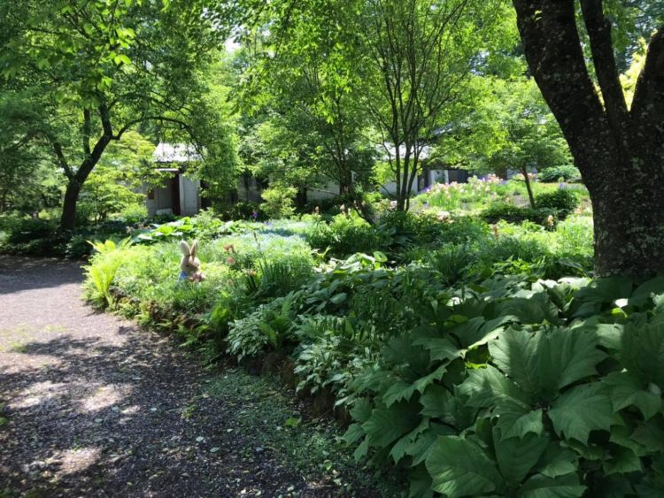 軽井沢絵本の森美術館にあるピーターラビットが隠れている庭