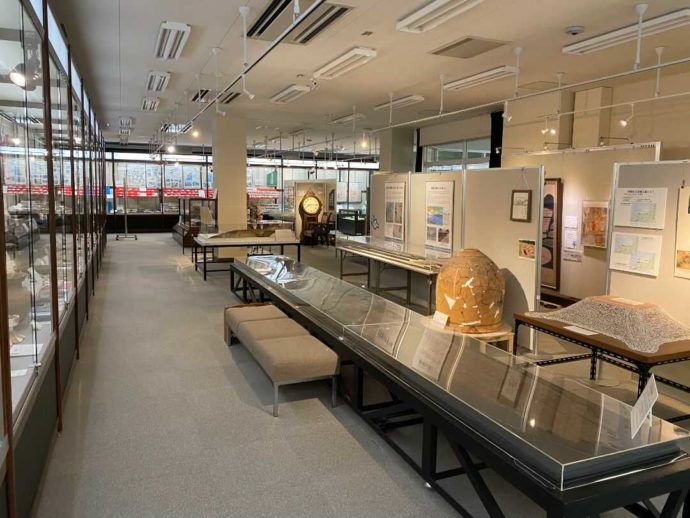 島根大学総合博物館アシカル展示室の様子