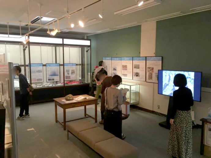 島根大学総合博物館アシカルの展示室の様子