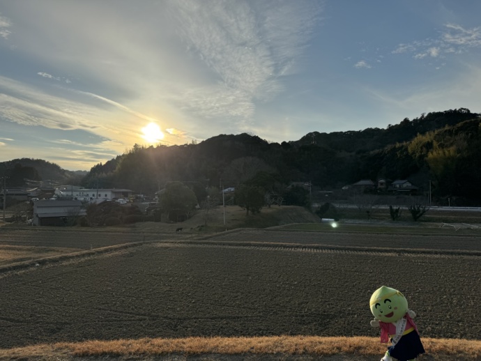 睦沢町マスコットキャラクターうめ丸くんと町内の畑