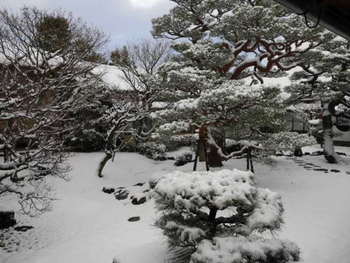 妙顕寺の光琳曲水の庭の冬の様子