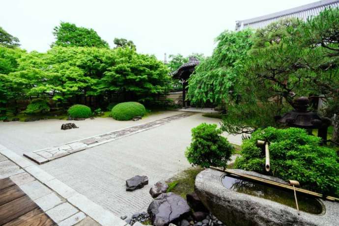 妙顕寺にある四海唱導の庭の夏の様子