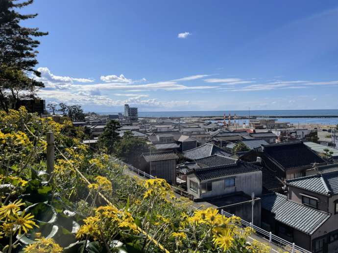 新潟県長岡市にあるつわぶき展望台から眺めた寺泊の街並み