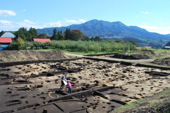 青森県南部町にある聖寿寺館跡の発掘調査の様子