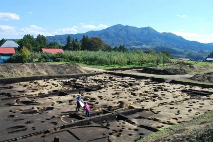 「南部利康霊屋」がある史跡聖寿寺館跡の発掘調査風景