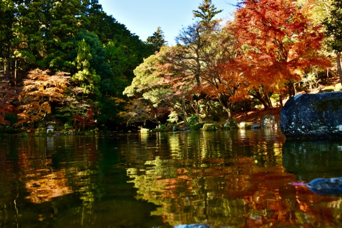 成田山公園の美しい紅葉