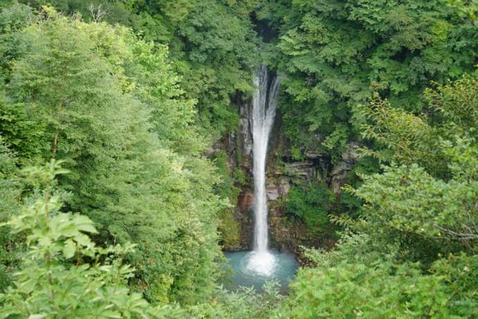 新緑の季節の駒止の滝