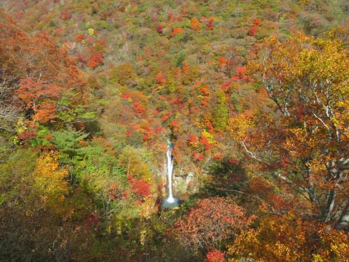 那須町の駒止の滝と紅葉