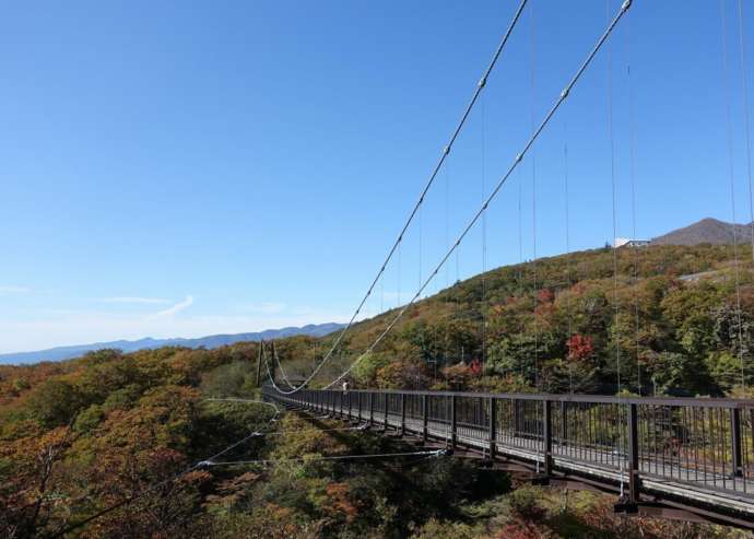 栃木県那須町にあるつつじ吊橋