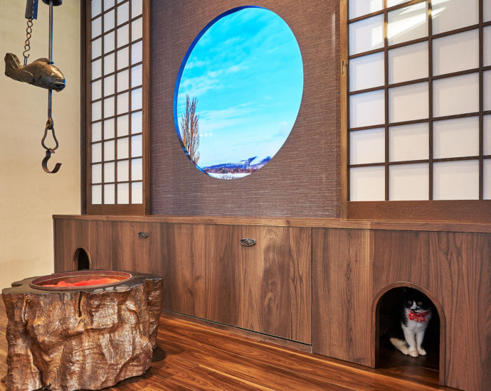 静岡県静岡市にある「保護猫カフェ 猫宿町」の猫が隠れている様子