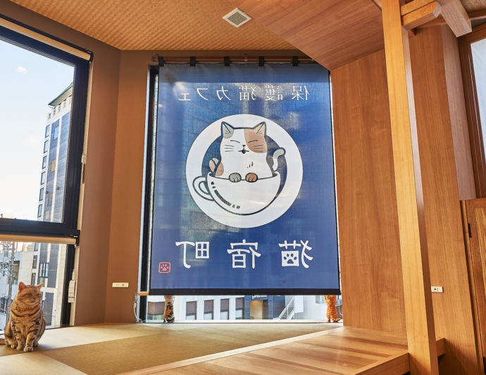 静岡県静岡市の「保護猫カフェ 猫宿町」にある暖簾