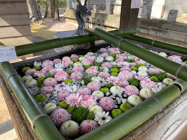 生花で彩られた上野総社神社の花手水