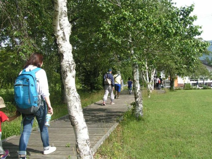 吹上高原キャンプ場で散歩ができる「木の小道」