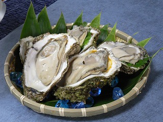 にかほ市の特産品の岩牡蠣の写真