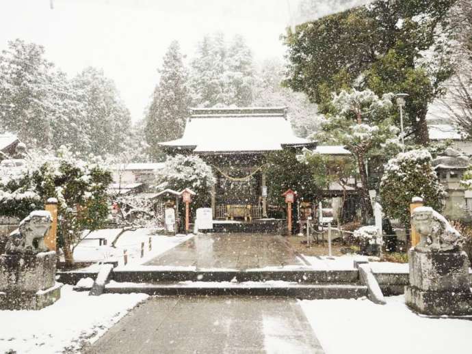報徳二宮神社の冬景色