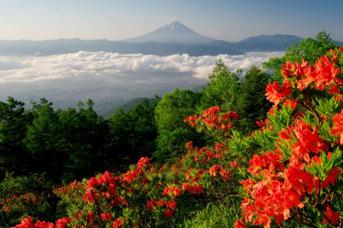 甘利山と富士山