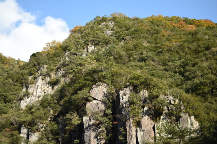 JR福知山線廃線敷のハイキングコースから見える切り立った崖
