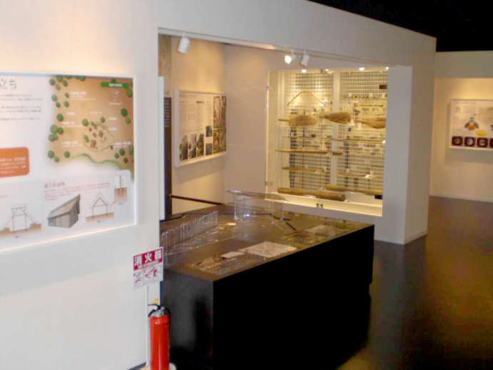 ぬまりん館の展示エリアの写真
