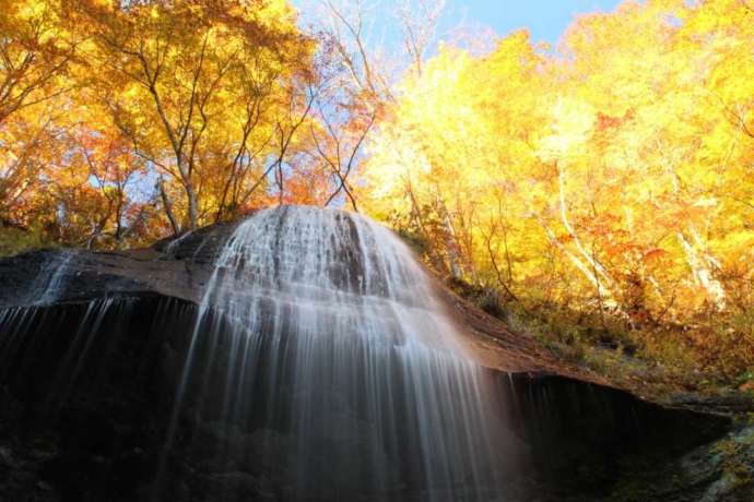 滝と紅葉の風景が楽しめる「白糸の滝」