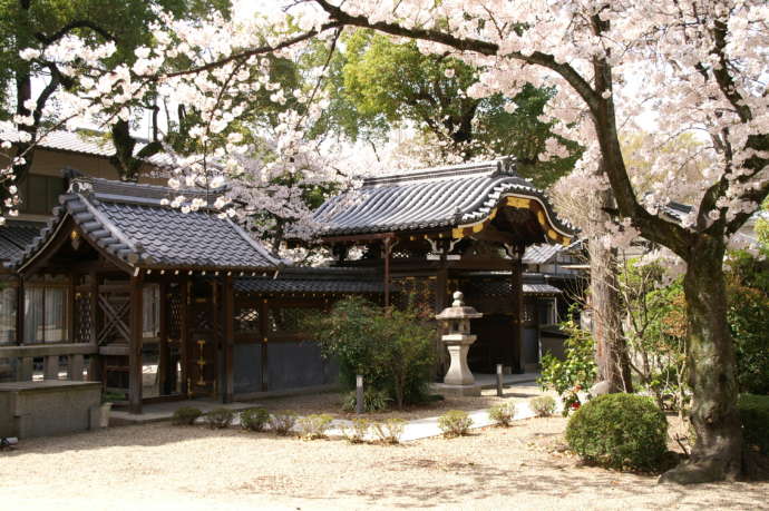 大阪府高槻市にある永井神社の唐門