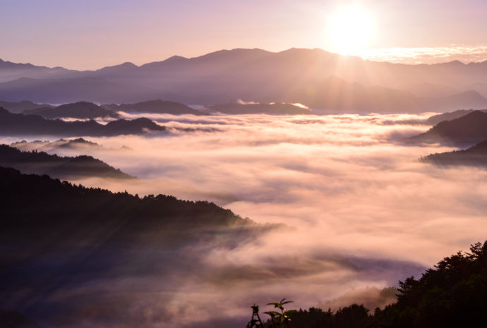 奈良県野迫川村で眺望できる雲海