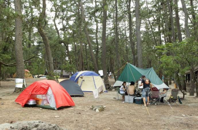 園家山キャンプ場のテントサイトの風景