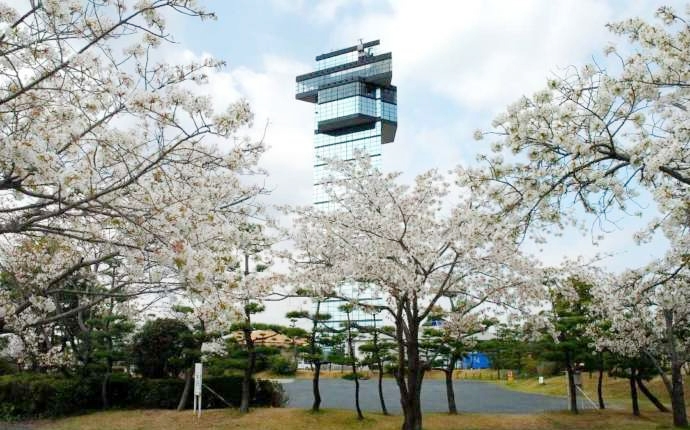 茨城県東茨城郡にある「ひたちなかエネルギーロジテック大洗マリンタワー」と桜