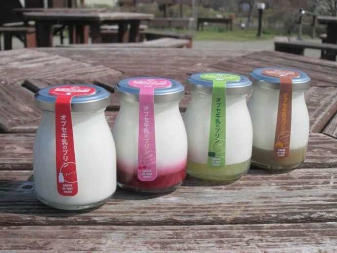 長野県上高井郡小布施町にある「道の駅オアシスおぶせ」で購入できるオブセ牛乳のプリン