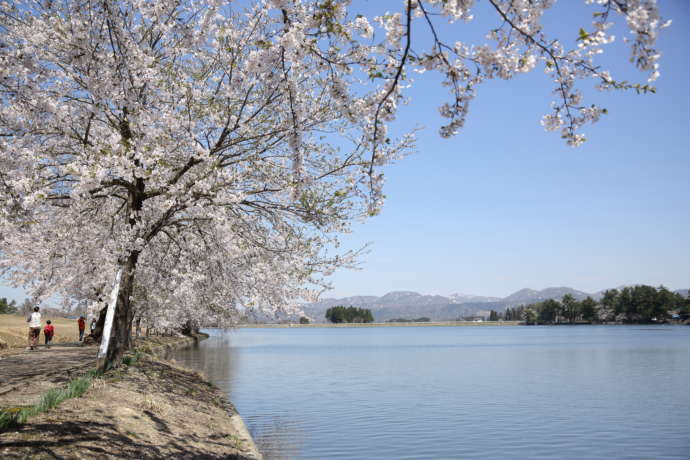 尾花沢市の徳良湖の様子