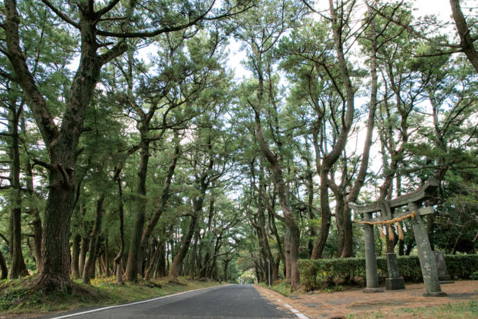 小値賀町の人気スポット姫の松原の風景